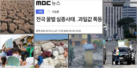 mbc뉴스 사회 이승용 전국 꿀벌 실종사태..과일값 폭등 입력 2022-04-04 11:27 | 수정 2022-04-04 15:55